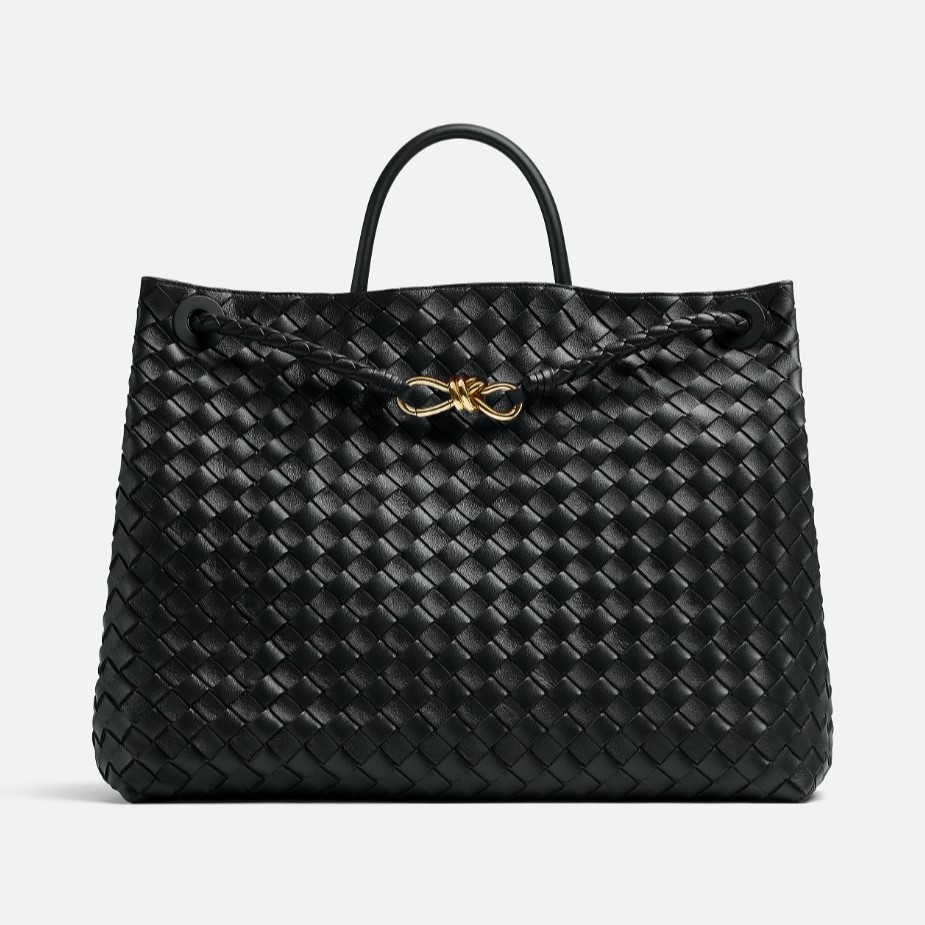 BOTTEGA VENETA 보테가베네타 라지 안디아모 766019 3COLOR