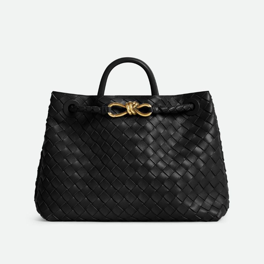 BOTTEGA VENETA 보테가베네타 안디아모 766016 3COLOR