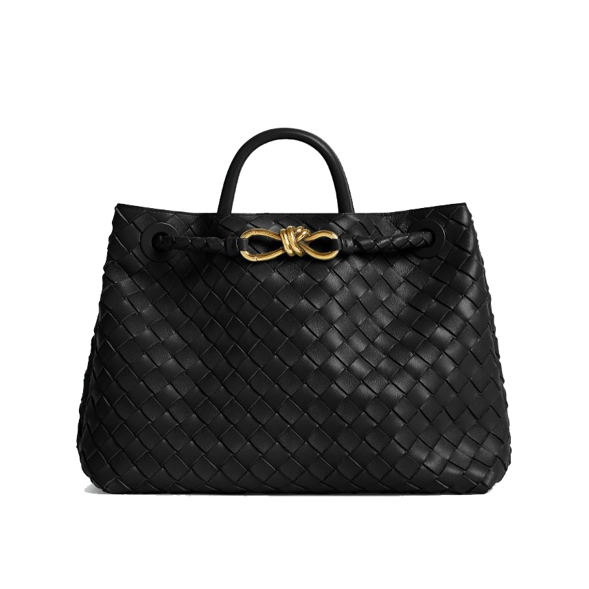 19위 BOTTEGA VENETA 보테가베네타 안디아모 766016 3COLOR