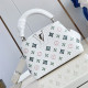 LOUIS VUITTON 루이비통 카푸신 미니/스몰 M48865